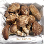 자연산 송이버섯/능이버섯(국내산) 청림송이.능 : 청림송이