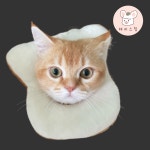 고양이 강아지 넥카라 애견 목 보호대 쿠션 깔대기 식빵 S : 해리스힐