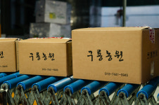 충주 구룡농원 고랭지 절임배추 20kg 괴산 강원도 : 직푸드