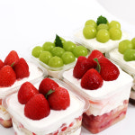 [샘플] 키친코디 PET / PS : 키친코디