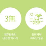 250g 제주 청귤차 청귤청 모히또 에이드 겨울 환절기 감기예방차 비타민 풋귤차 사무실 : 올라상회