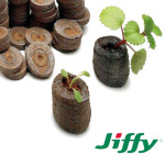 지피펠렛 33MM 10개 압축상토 지피포트 : 씨앗팜