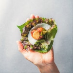 [큰지붕닭갈비] 기본/간장/목살닭갈비 밀키트 세트 1인분 소포장 : 큰지붕닭갈비
