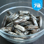 제철 대맛조개 10마리 / 가리 맛조개 1kg 홍맛조개 캠핑 조개구이 : 파머스 718