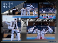 [용인대석사청룡태권도] 성인부 : 용인대석사청룡태권도