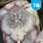 제철 서해안 간재미 1kg 간재미회 날개살 생물 냉동 손질 간자미 무침 찜 : 파머스 718