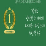 야구장마스크 놀이 동산 공원 마스크 편의점일회용마스크 100매 : 엘티케이이