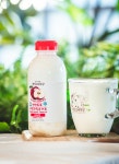 평창보배목장 생생톡톡과일요거트 500ml : 평창보배목장