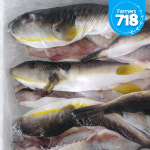 동해안 자연산 참복 밀복  3kg 주문즉시 손질한 손질 복어 복어회 선물추천 : 파머스 718