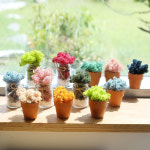 북유럽에서 자생하는 스칸디아 모스 DIY세트 토분화분 유리병 공기정화식물 : 그린테라피