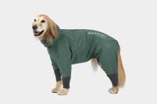 알파아이콘 2022 스노우 독 가드 포레스트 그린 Snow Dog Gaurd Forest Green : 갱스터도그