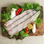 김한중 민물 장어 고창풍천장어 보양식 고소한 자포니카 맛집 깨끗이 손질한 장어 : 아토 아리아