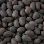 [약초박사] 100%국내산 연자육 연꽃씨앗 연씨 연자 효능 : 약초 박사