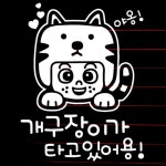 자동차 초보운전 아기스티커_고양이 개구장이 : 트렌디한