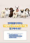 강아지 배변패드 대용량 애견 펫패드 프리미엄 6겹구조 천연펄프 배변유도 1번 300매 : 바로바로SHOP