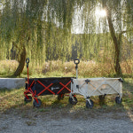 코스트위드 접이식 감성캠핑 오프니스 웨건 (뒷축보강,오픈형) 아이보리 : 코스트위드