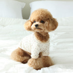 강아지티셔츠 데일리 꾸꾸까까 마이리틀독 : 꼴레트멍멍 스토어