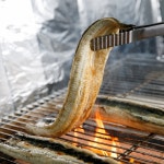 통영 바다장어 1KG 손질후 800g 아나고 붕장어 장어구이 손질장어 : 두결수산