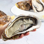 산지직송 거제 삼배체 굴 각굴 석화 대왕굴 2kg : 숨비해물