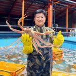 [수율보장] 동해사모님 러시아대게 박달대게 마가단 활대게 선어 자숙 대게 3kg : 동해사모님