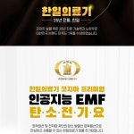 한일의료기 프리미엄 인공지능 EMF 탄소 전기요 : 건강터