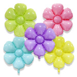 마카롱 꽃풍선 (중) : 와우파티코리아