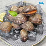 국내산 남해안 생물 피꼬막 피조개 제철 탱글한 살 가득 2kg, 1개 : 도리마켓-