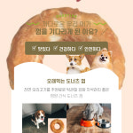 오래먹는 링개껌 치석제거오리츄덴탈껌 스트레스완화 애견간식 : 블링블링 잡화점