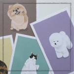 Postcard - 멍멍이&야옹이(Dog&Cat) 그림 엽서 8종 : 모노플래닛