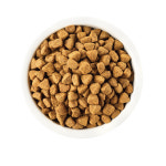 [정기구독] 강아지눈물사료 유산균 눈물 알러지 사료 유한양행 웰니스 심플 살몬앤포테이토 2kg : 유한양행 펫스토어