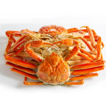 영덕 대게 국산 박달 구룡포 포항 자숙 택배 러시아크랩  1kg : 푸드랍