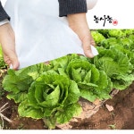 베란다 다육이 화분 화훼 꽃 월동 냉해 동해 보온 서리방지 흰 부직포 폭1.7m 2.4m : 농사농