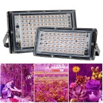 LED 빛 스펙트럼 220V 110V 50W 100W 380-440NM EU 플러그 온실 수경 꽃 씨앗 Phyto 램프에 주도 : 친절한 구대씨2