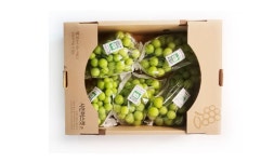 특 샤인머스캣 2-4kg 농산물도매시장 경매 최상품 입찰 발송 : 스합몰-스포츠 합숙 전문몰