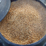 지리산산골 3년숙성 국산콩 저염  재래식 전통 집된장 다솜된장 1kg : 참살이장터