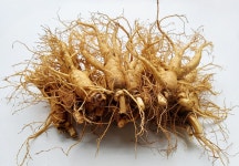 금산 삼마이스터 5년근 6년근 세척인삼 파삼 수삼 난발삼 750g 인삼한채 : 삼마이스터