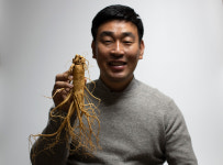 금산인삼 6년근인삼 5년근 난발삼 삼계탕 수삼 세척 선물세트 : 삼마이스터