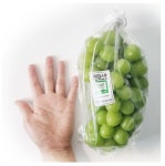 특 샤인머스캣 2-4kg 농산물도매시장 경매 최상품 입찰 발송 : 스합몰-스포츠 합숙 전문몰