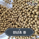 토종 국내산 천년초 줄기 환 효능 먹는법 천년초선인장 파는곳 가격 500g/1kg : 다온농원마켓