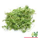 미나리 4kg (보통) : 사라상회