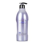 PL 쉬에뜨 헤어 에센스 글레이즈 미용실 젖은 머리 연출 컬링 에센스 500ml : 에스와이 미용