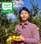 무농약귤 친환경 못난이 노지귤 제주귤 3kg 5kg 10kg 조생 산지직송 : 파파제주팜