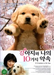 강아지와 나의 10가지 약속(10 Promises To My Dog)(DVD 초회판) : MusicnShop