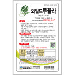 와일드루꼴라 2000립 / 상추 종자 쌈채소 텃밭키우기 채소키우기 : 초록스타