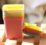 다육이 선인장 파스텔 화분 심플 플라스틱 미니 화분 식물 키우기 : 조취생판매점