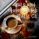 [비바커피원두]에티오피아 아바야 게이샤 풀리 워시드 G1 핸드드립용 원두 200g 500g : 비바커피