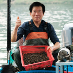 [산지직송/당일채취] 어부가 직접잡은 북한강 자연산 생다슬기大 2kg : 강마루매운탕