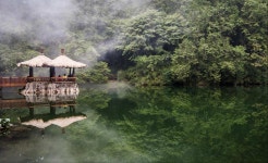 대만 자이 - 아리산 프라이빗 편도 이동 서비스 : 뜨거운청춘