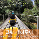 [스타인 달랏] 나트랑 출발 달랏 투어 (한국어 가이드+시내호텔픽업드랍무료+간식제공) : 스타인월드