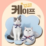 한땀한땀 세일러 케이프 고양이 강아지 뜨개 목도리 머플러 스카프 넥워머 목걸이 악세서리 : 오캣냥도그멍